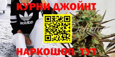 стаф Дубна