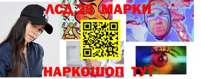 стаф Дубна