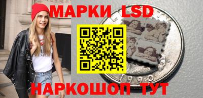 стаф Дубна