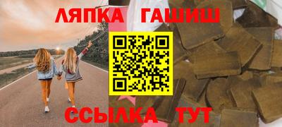 стаф Дубна