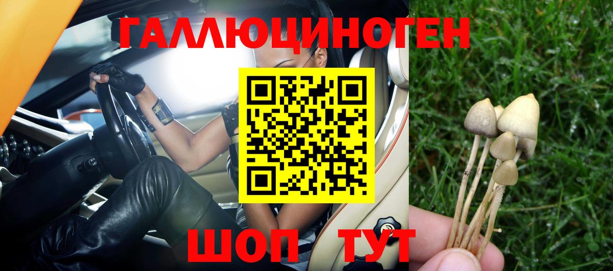 Медногорск  Галлюциногенные грибы MAGIC MUSHROOMS  Вход с VPN 